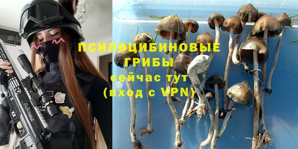 a pvp Бородино