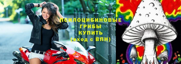 a pvp Бородино